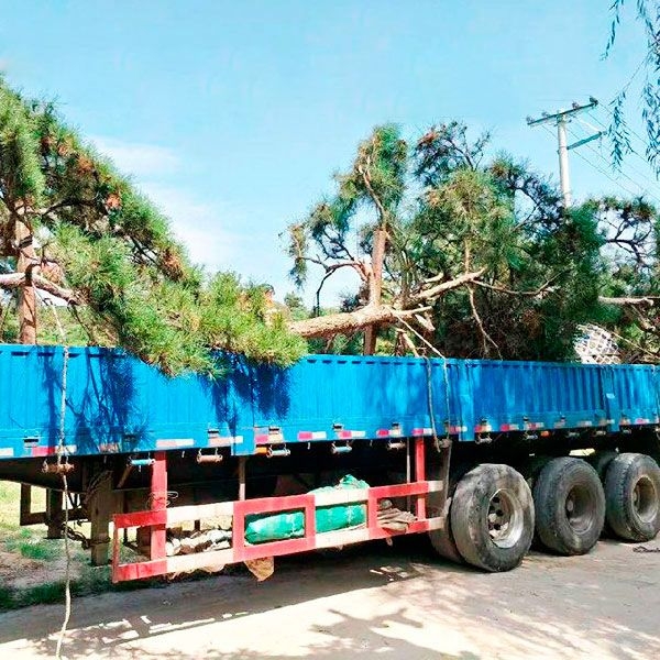 發(fā)貨現(xiàn)場(chǎng)